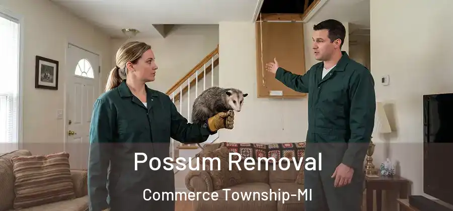 Possum Removal Commerce Township-MI
