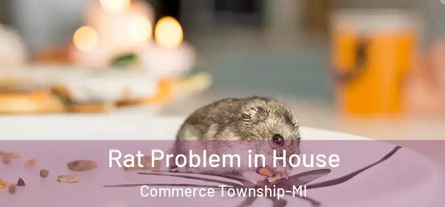  Rat Problem in House Commerce Township-MI