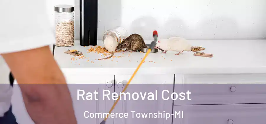 Rat Removal Cost Commerce Township-MI