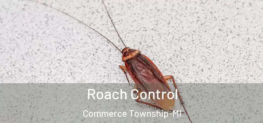 Roach Control Commerce Township-MI