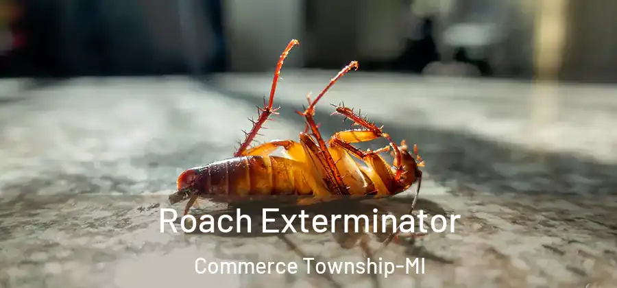  Roach Exterminator Commerce Township-MI