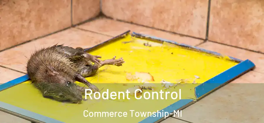Rodent Control Commerce Township-MI