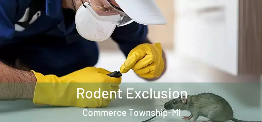 Rodent Exclusion Commerce Township-MI