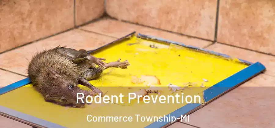 Rodent Prevention Commerce Township-MI