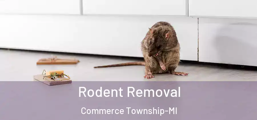  Rodent Removal Commerce Township-MI