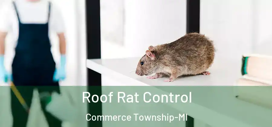 Roof Rat Control Commerce Township-MI