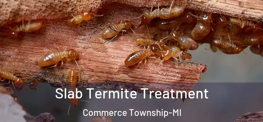  Slab Termite Treatment Commerce Township-MI