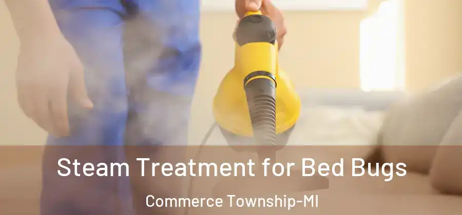 Steam Treatment for Bed Bugs Commerce Township-MI