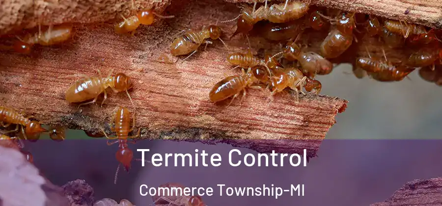 Termite Control Commerce Township-MI