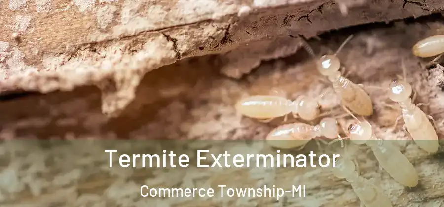 Termite Exterminator Commerce Township-MI