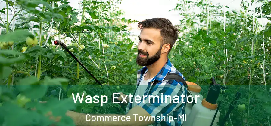 Wasp Exterminator Commerce Township-MI