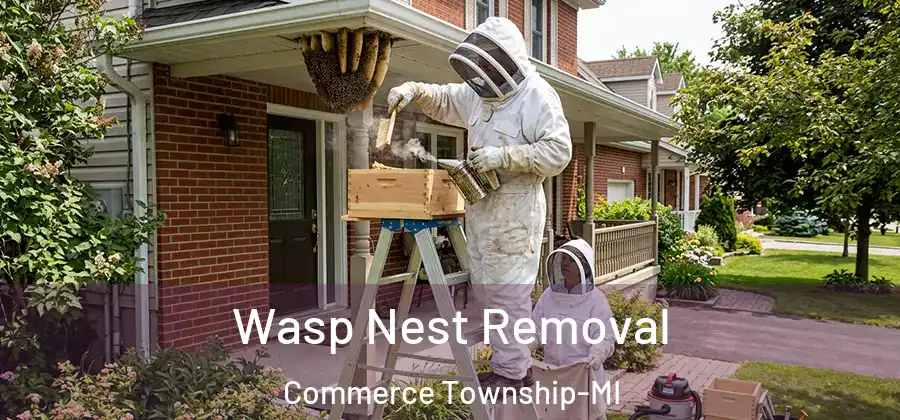  Wasp Nest Removal Commerce Township-MI