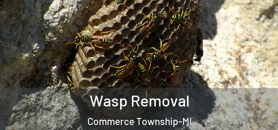  Wasp Removal Commerce Township-MI