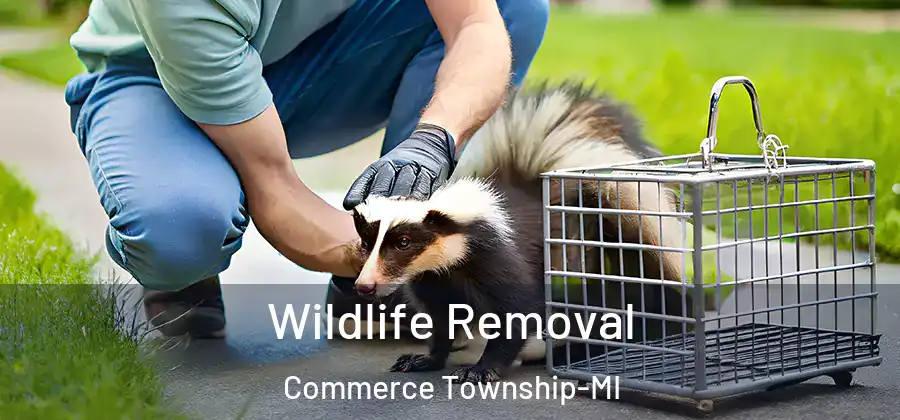  Wildlife Removal Commerce Township-MI
