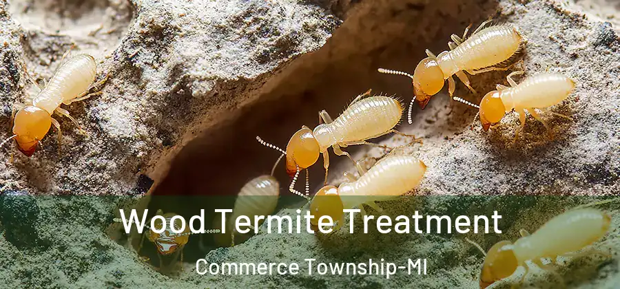 Wood Termite Treatment Commerce Township-MI