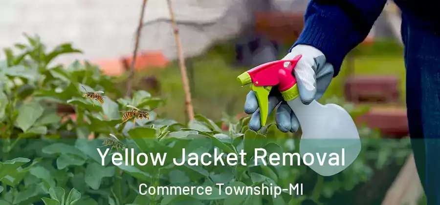 Yellow Jacket Removal Commerce Township-MI